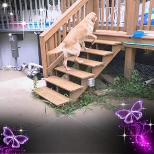 Meet your Posher, Michele